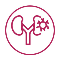 Kidney Cancer